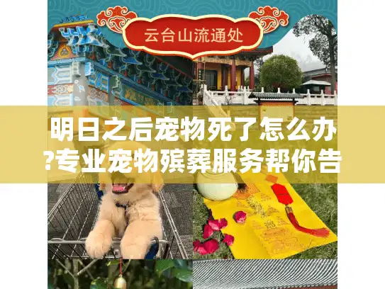 明日之后宠物死了怎么办?专业宠物殡葬服务帮你告别爱宠