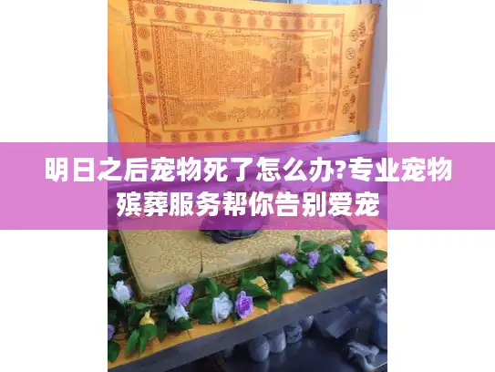 明日之后宠物死了怎么办?专业宠物殡葬服务帮你告别爱宠