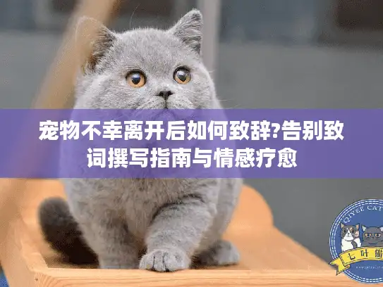 宠物不幸离开后如何致辞?告别致词撰写指南与情感疗愈