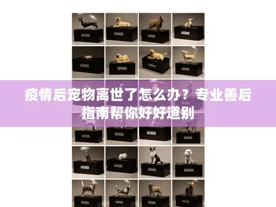 疫情后宠物离世了怎么办？专业善后指南帮你好好道别