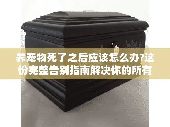 养宠物死了之后应该怎么办?这份完整告别指南解决你的所有困惑
