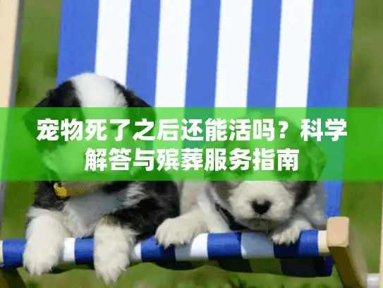 宠物死了之后还能活吗？科学解答与殡葬服务指南