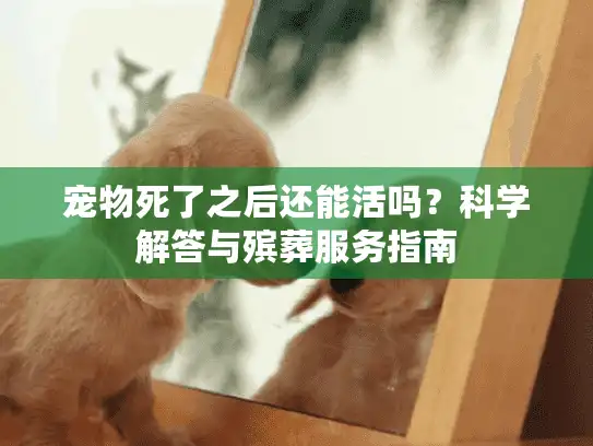 宠物死了之后还能活吗？科学解答与殡葬服务指南