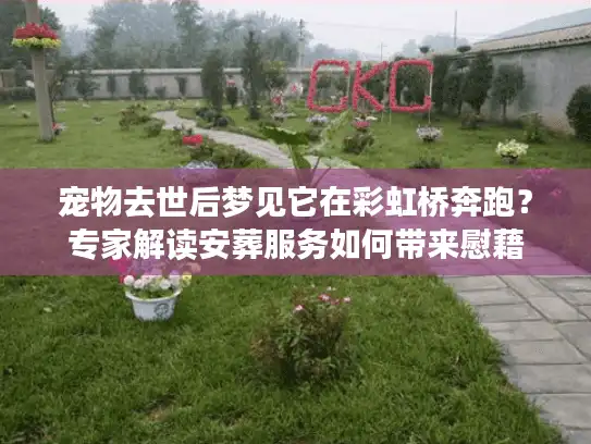 宠物去世后梦见它在彩虹桥奔跑？专家解读安葬服务如何带来慰藉