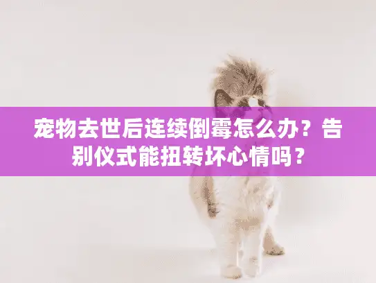 宠物去世后连续倒霉怎么办？告别仪式能扭转坏心情吗？