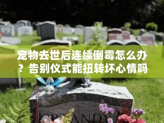 宠物去世后连续倒霉怎么办？告别仪式能扭转坏心情吗？