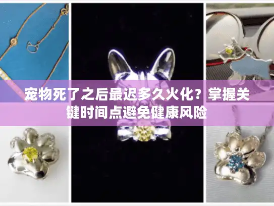 宠物死了之后最迟多久火化？掌握关键时间点避免健康风险