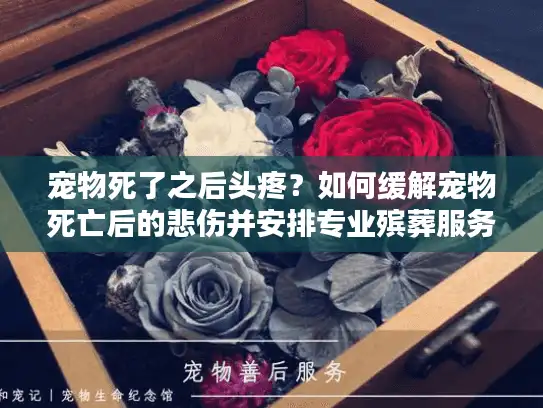 宠物死了之后头疼？如何缓解宠物死亡后的悲伤并安排专业殡葬服务