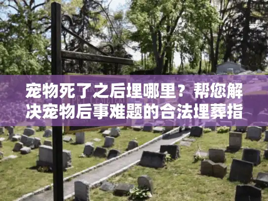 宠物死了之后埋哪里？帮您解决宠物后事难题的合法埋葬指南