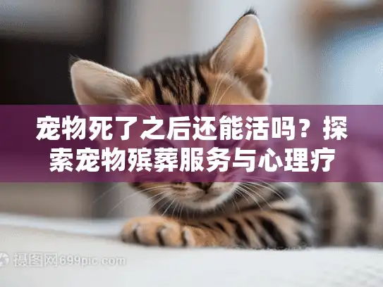 宠物死了之后还能活吗？探索宠物殡葬服务与心理疗愈之道