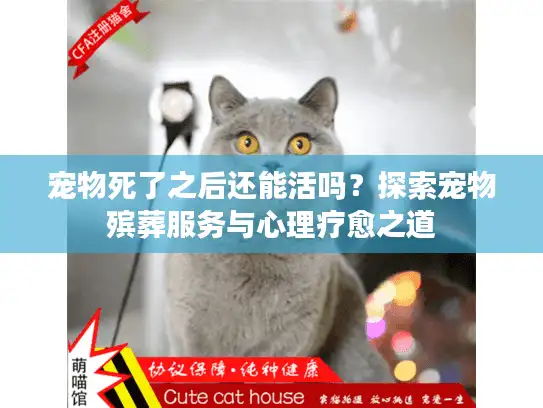 宠物死了之后还能活吗？探索宠物殡葬服务与心理疗愈之道