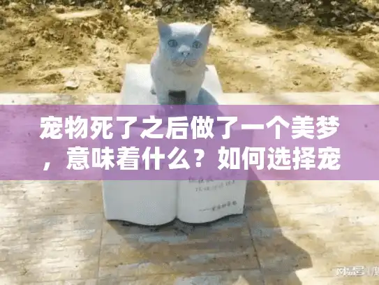 宠物死了之后做了一个美梦，意味着什么？如何选择宠物殡葬服务？