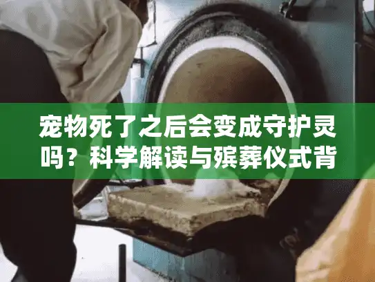 宠物死了之后会变成守护灵吗？科学解读与殡葬仪式背后的情感疗愈