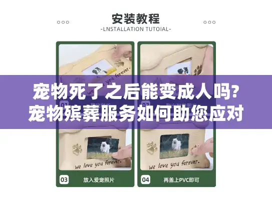 宠物死了之后能变成人吗?宠物殡葬服务如何助您应对情感创伤