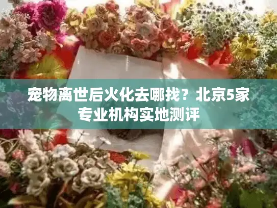 宠物离世后火化去哪找？北京5家专业机构实地测评