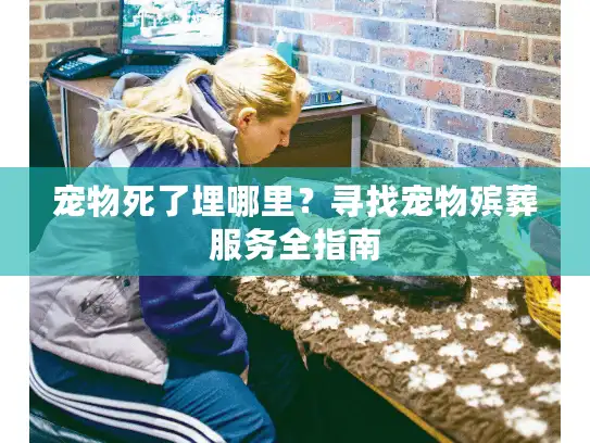 宠物死了埋哪里？寻找宠物殡葬服务全指南