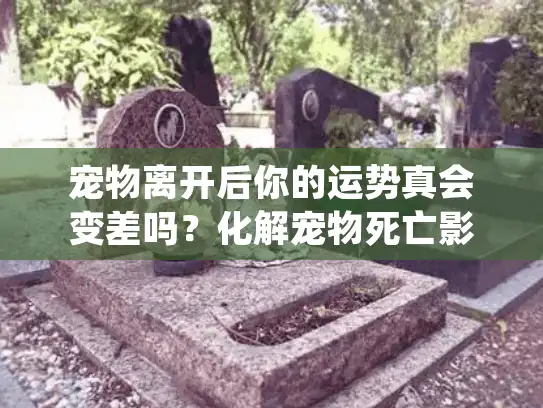 宠物离开后你的运势真会变差吗？化解宠物死亡影响的生活指南
