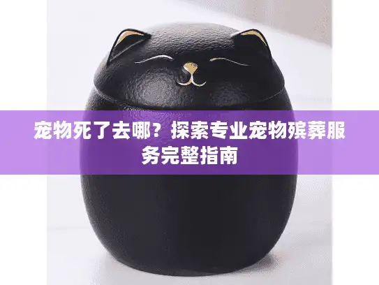 宠物死了去哪？探索专业宠物殡葬服务完整指南