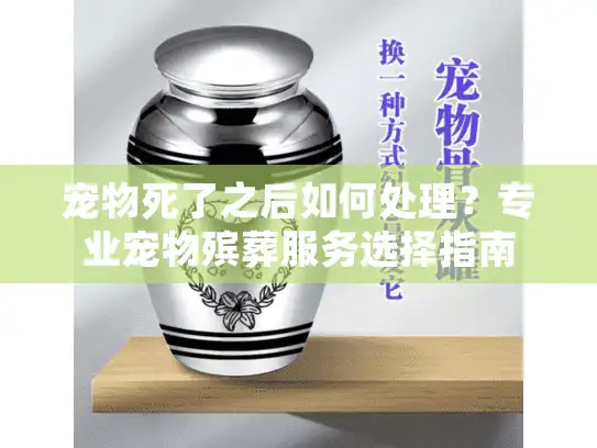 宠物死了之后如何处理？专业宠物殡葬服务选择指南
