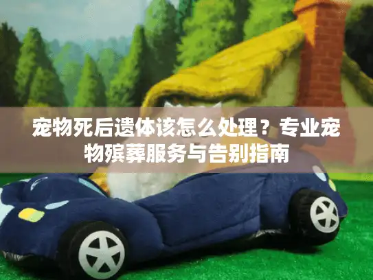 宠物死后遗体该怎么处理？专业宠物殡葬服务与告别指南