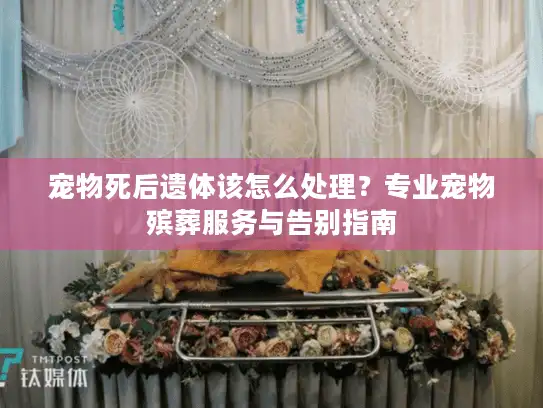 宠物死后遗体该怎么处理？专业宠物殡葬服务与告别指南