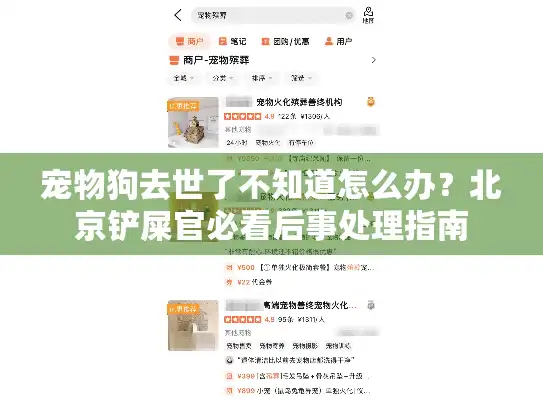 宠物狗去世了不知道怎么办？北京铲屎官必看后事处理指南