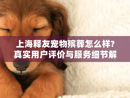 上海释友宠物殡葬怎么样?真实用户评价与服务细节解析