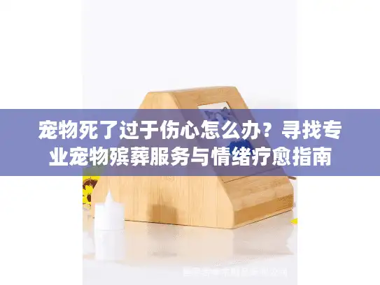 宠物死了过于伤心怎么办？寻找专业宠物殡葬服务与情绪疗愈指南