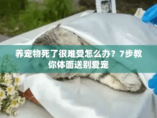 养宠物死了很难受怎么办？7步教你体面送别爱宠
