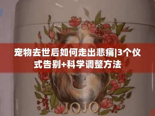 宠物去世后如何走出悲痛|3个仪式告别+科学调整方法