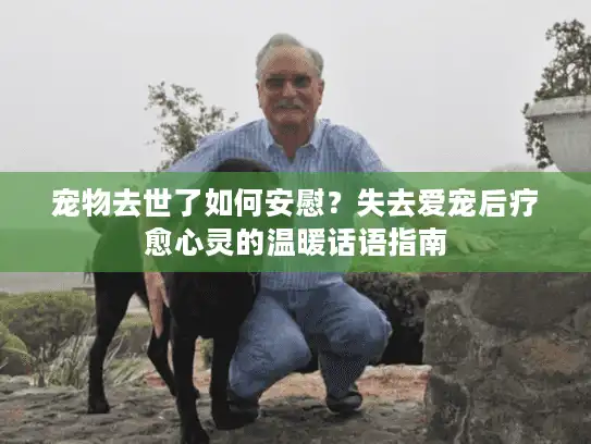 宠物去世了如何安慰？失去爱宠后疗愈心灵的温暖话语指南