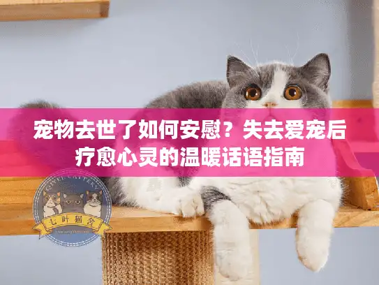 宠物去世了如何安慰？失去爱宠后疗愈心灵的温暖话语指南
