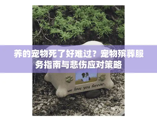 养的宠物死了好难过？宠物殡葬服务指南与悲伤应对策略