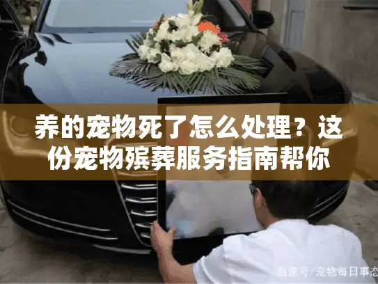 养的宠物死了怎么处理？这份宠物殡葬服务指南帮你体面告别