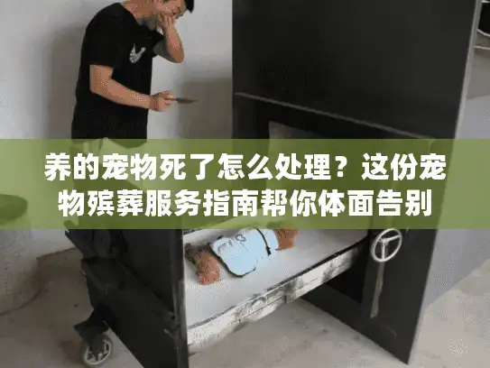 养的宠物死了怎么处理？这份宠物殡葬服务指南帮你体面告别