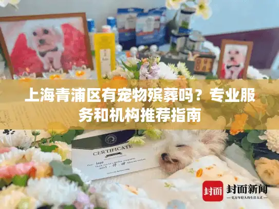 上海青浦区有宠物殡葬吗？专业服务和机构推荐指南