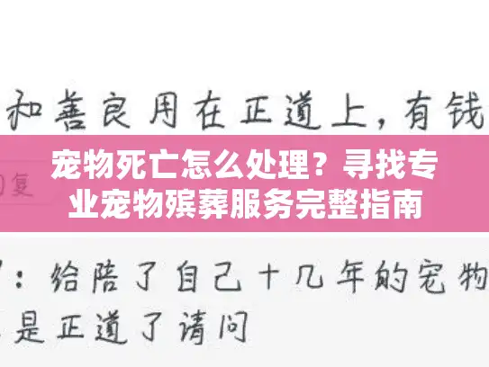 宠物死亡怎么处理？寻找专业宠物殡葬服务完整指南