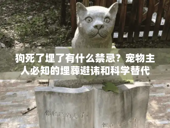 狗死了埋了有什么禁忌？宠物主人必知的埋葬避讳和科学替代