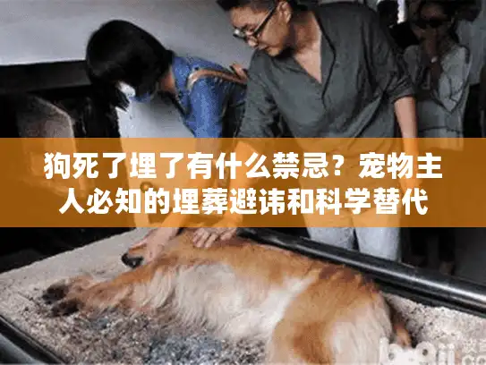 狗死了埋了有什么禁忌？宠物主人必知的埋葬避讳和科学替代