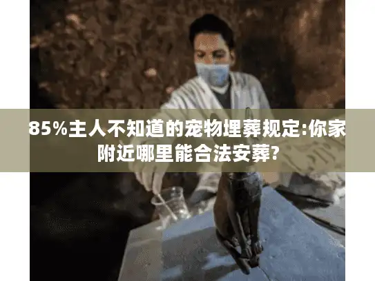 85%主人不知道的宠物埋葬规定:你家附近哪里能合法安葬?