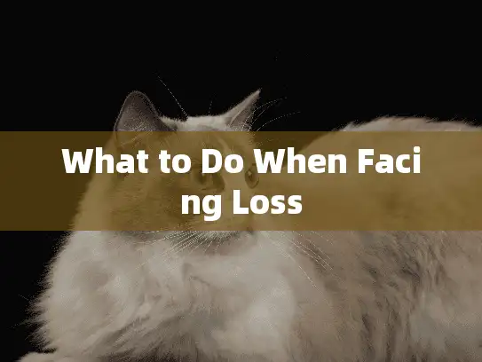 What to Do When Facing Loss