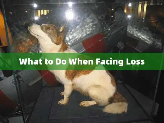 What to Do When Facing Loss