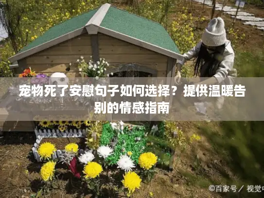 宠物死了安慰句子如何选择？提供温暖告别的情感指南