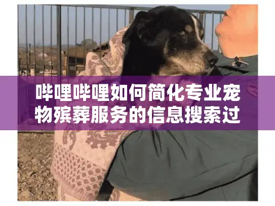 哔哩哔哩如何简化专业宠物殡葬服务的信息搜索过程？