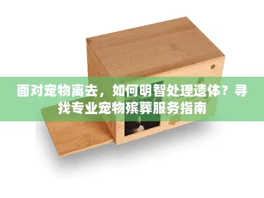 面对宠物离去，如何明智处理遗体？寻找专业宠物殡葬服务指南