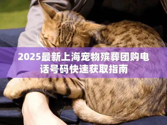 2025最新上海宠物殡葬团购电话号码快速获取指南