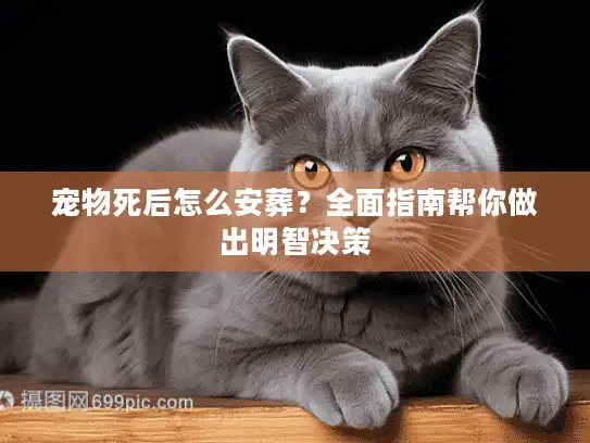 宠物死后怎么安葬？全面指南帮你做出明智决策