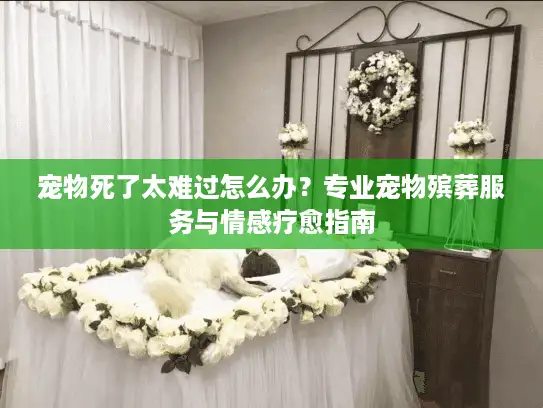 宠物死了太难过怎么办？专业宠物殡葬服务与情感疗愈指南