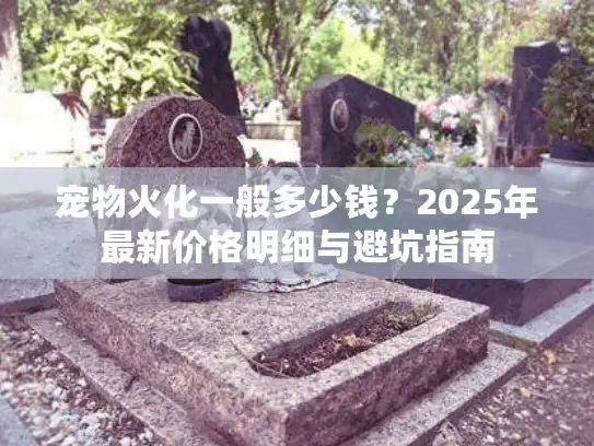 宠物火化一般多少钱？2025年最新价格明细与避坑指南
