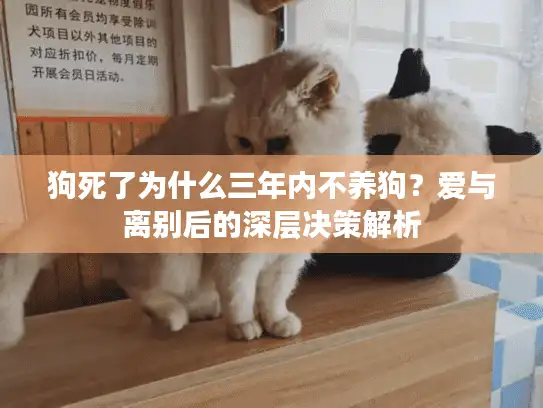 狗死了为什么三年内不养狗？爱与离别后的深层决策解析